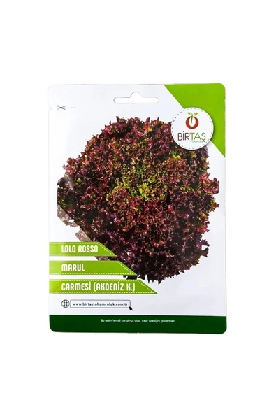 Vipfoni Marul Tohumu Akdeniz ürün görseli