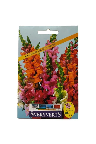 Vipfoni Aslanağzı Çiçeği Tohumu ürün görseli