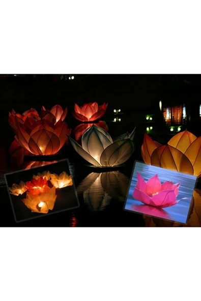 Vipfoni Nilüfer Su Feneri 25 Adet - 2