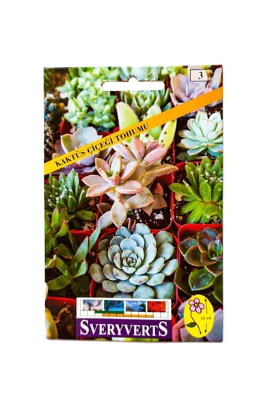 Vipfoni Sukulent Kaktüs Çiçeği Tohumu ürün görseli