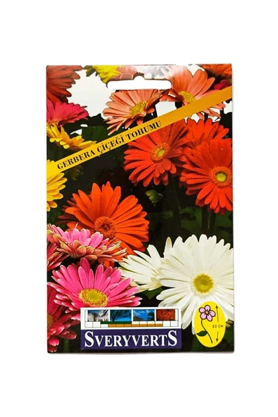 Vipfoni Gerbera Çiçeği Tohumu ürün görseli
