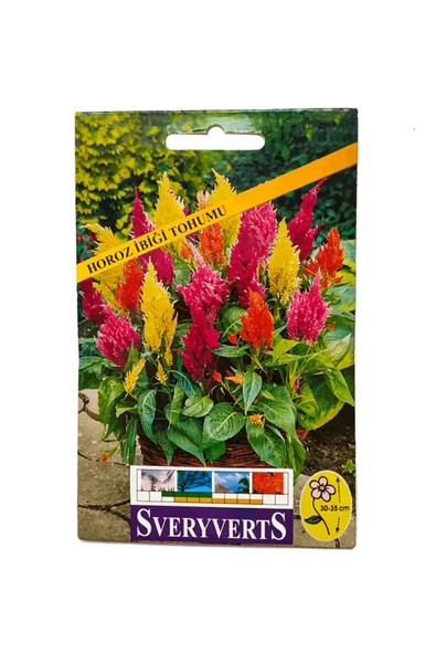 Vipfoni Birinci Kalite Horoz Ibiği Çiçeği Tohumu ürün görseli