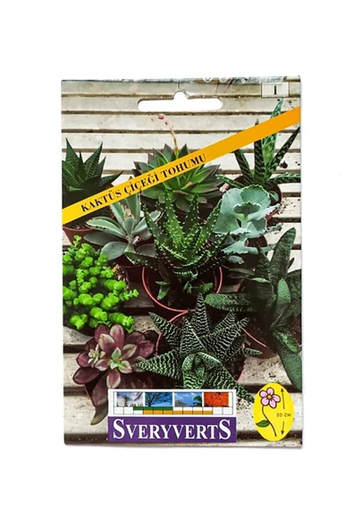 Vipfoni Sukulent Kaktüs Çiçeği Tohumu ürün görseli 1