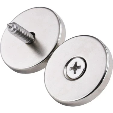 2 Adet 25x10/5x5,5 mm Neodyum Mıknatıs Havşa Delikli Magnet Vida Atılabilir N35 Nikel Paslanmaz - 5