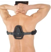 wingmed W453 Güvercin Göğsü YETİŞKİN