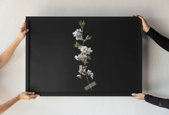 Minimalist Çiçek Dalı Çerçeveli Tablo Siyah Fon Üzerine Beyaz Çiçek Sanatı Duvar Dekoru 30x42 cm