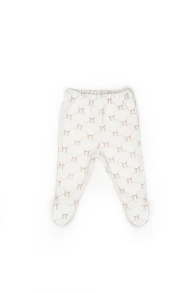 Bebek 3’lü Takım (Pantolon, Uzun Kol T-shirt, Şapka), Bebek ve Yenidoğan Serisi - CSY8143 - 6