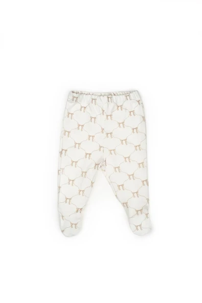 Bebek 3’lü Takım (Pantolon, Uzun Kol T-shirt, Şapka), Bebek ve Yenidoğan Serisi - CSY8144 - 6