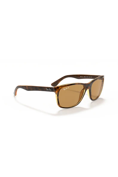 Ray-Ban Güneş Gözlüğü RB4181 57 710/83 - 5
