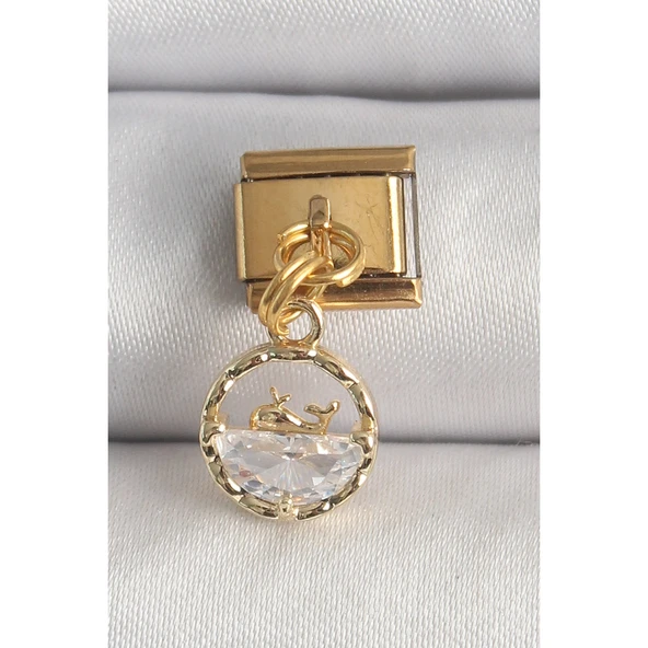 Gold Renk 316 L Çelik  Sallantı Zirkon Taşlı Balina Model Nomination Charm