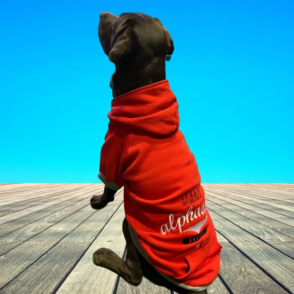 Alphadog Leader Red Orta-Büyük Irk Köpek Sweatshirtü (11 kg-36 kg arası köpeklere uygundur) - Resim 2