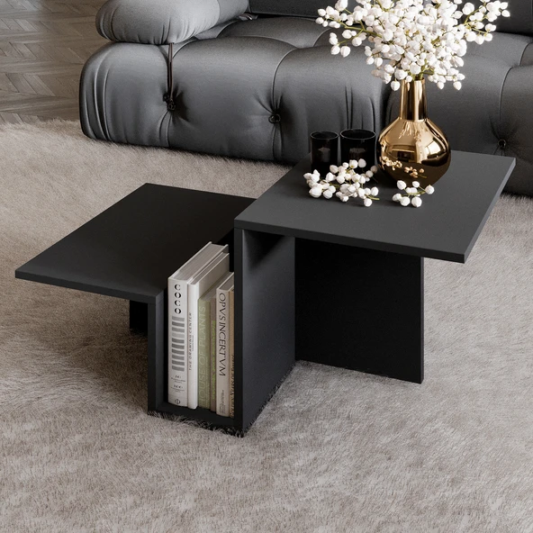 Relinda Modern Orta Sehpa – Şık ve Fonksiyonel - 3