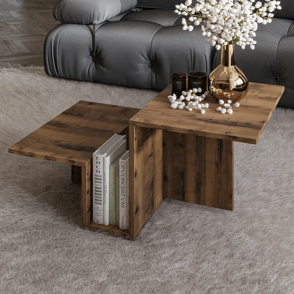 Relinda Modern Orta Sehpa – Şık ve Fonksiyonel - 3