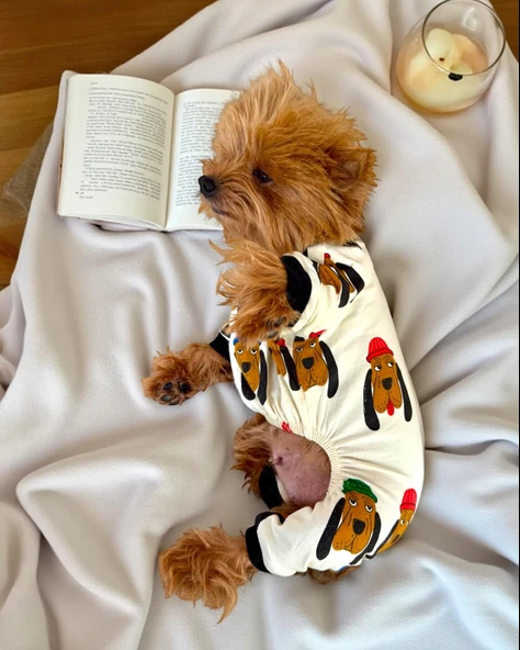 The DOG Penye Köpek Tulum Pijama - 8