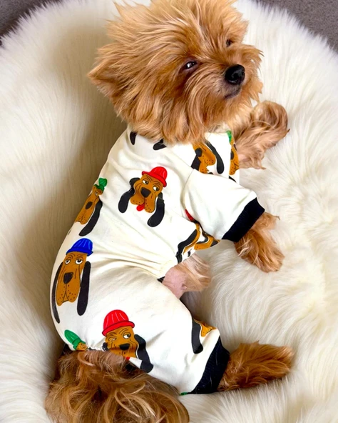 The DOG Penye Köpek Tulum Pijama