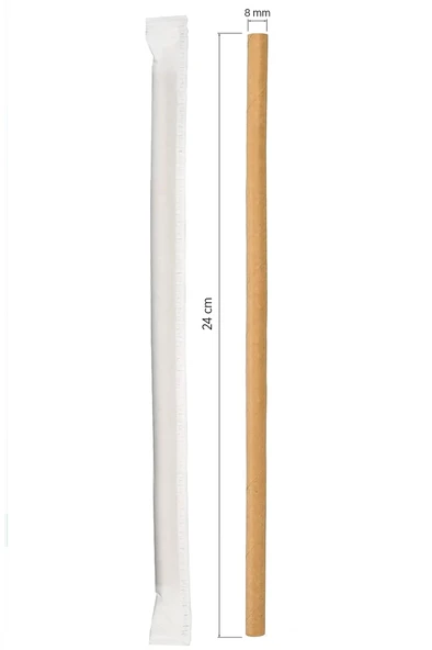 Supertrend Frozen Kraft Kağıt Pipet Kağıt Sargılı 8mm x 24cm - 100 Adet ürün görseli 1