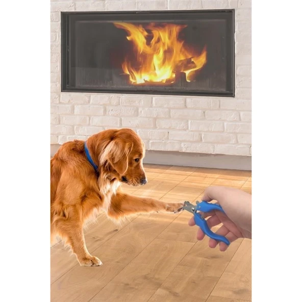 BUFFER® Evcil Hayvan Kedi ve Köpek Paslanmaz Çelik Yaylı Tırnak Makası ve Düzeltme - 7