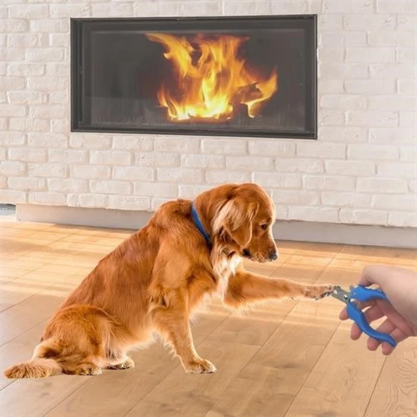 BUFFER® Evcil Hayvan Kedi ve Köpek Paslanmaz Çelik Yaylı Tırnak Makası ve Düzeltme - 2