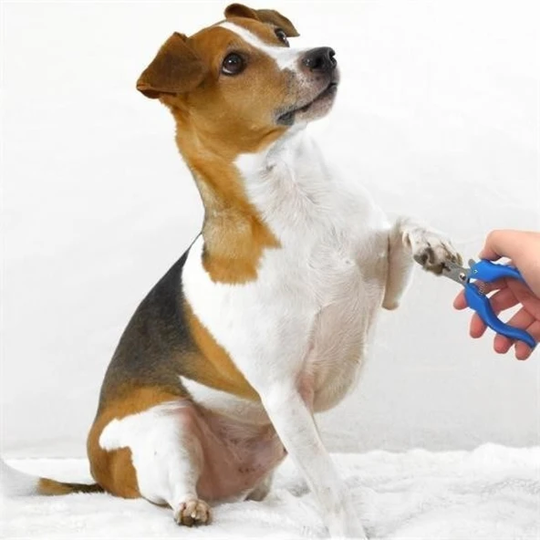 BUFFER® Evcil Hayvan Kedi ve Köpek Paslanmaz Çelik Yaylı Tırnak Makası ve Düzeltme - 4