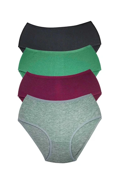 biçomi 4 Adet Kadın Yüksek Bel Ribana Bato Külot S042 ürün görseli