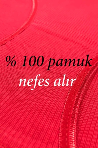 biçomi 12 Adet Fitilli Pamuklu Kadın Kaşkorse Bikini Külot - Resim 2