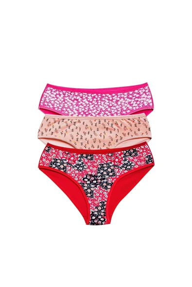 biçomi Pamuklu Geniş Kenarlı Likralı Desenli Bato Kadın Külot 3'lü Paket Set3 ürün görseli