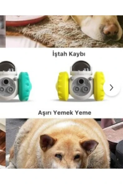 Yeni Nesil Kedi ve Köpek İnteraktif Mama Dağıtıcı Ödül Maması Atıcı Robot - 4