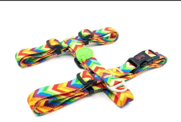 Tailpetz Rainbow Göğüs Tasmasi XS ürün görseli 1