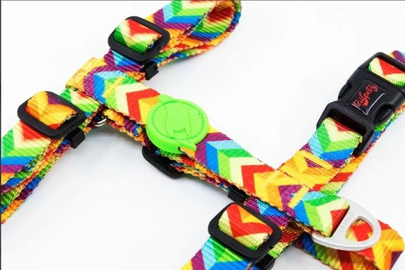 Tailpetz Rainbow Göğüs Tasmasi XS - Resim 2