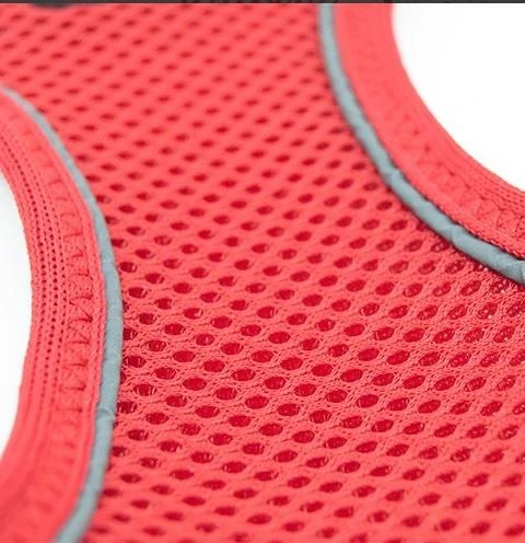 Tailpetz Air Mesh Harness Göğüs Tasması Kırmızı XLarge - Resim 7