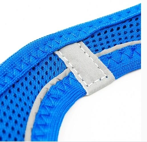 Tailpetz Air Mesh Harness Göğüs Tasması Saks Mavi Large - Resim 5