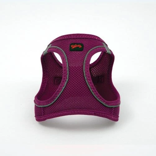 Tailpetz Air Mesh Harness Göğüs Tasması Mor Small - Resim 3