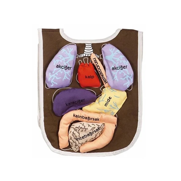 AND5011 ORGAN ÖNLÜĞÜ ürün görseli