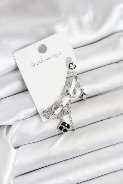 Pirinç Gümüş Renk Kadın Set Küpe