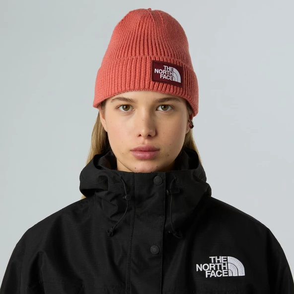 The North Face TNF Logo Box Cuffed Unisex Bere NF0A8CHEEED1 - 3