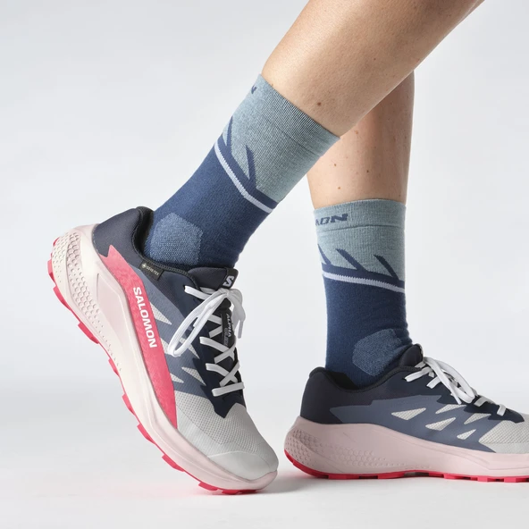 Salomon ALPHAGLIDE GORE-TEX Kadın Ayakkabısı L47802300 - Resim 2