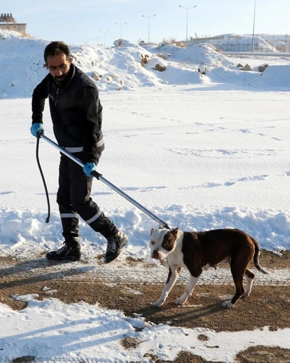 Köpek Yakalama Aleti 120 cm - 3