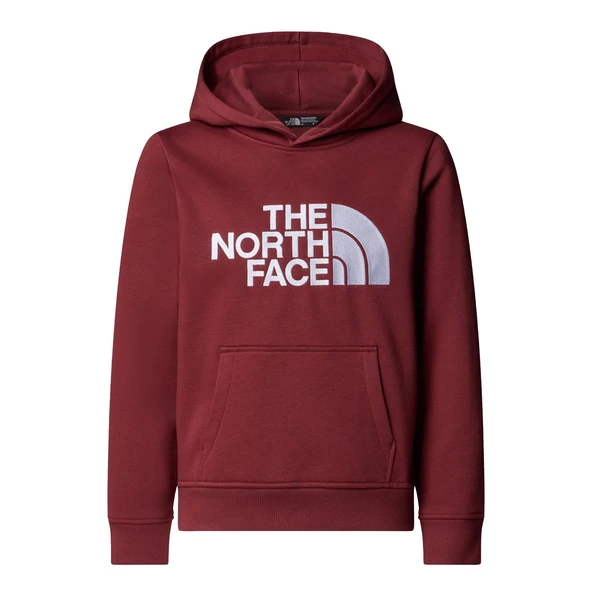 TEEN DREW PEAK PULLOVER HOODIE Genç Çocuk Sweatshirt NF0A8EHH0VO1