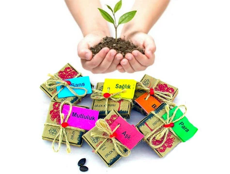 Dilek Tohumları  Sağlık - 2