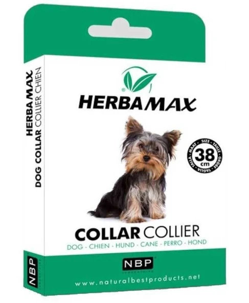 Pire Dış Parazit  Tasması  38 Cm