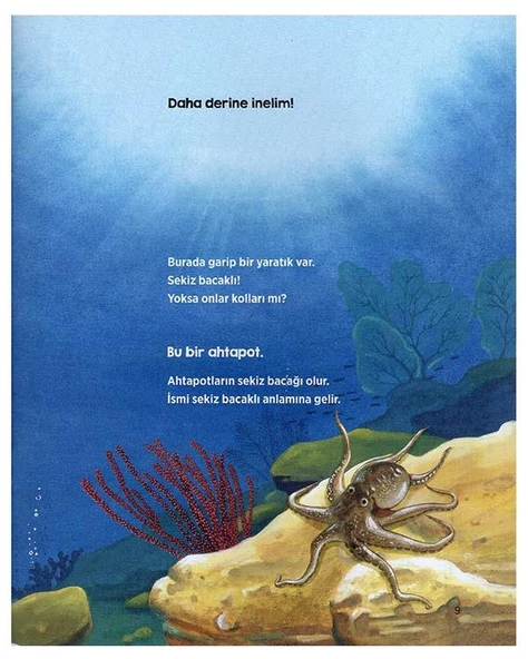 Okyanustaki Dostlarımız Erdem Yayınları - Resim 2