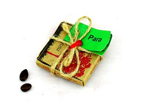 Dilek Tohumları  Para