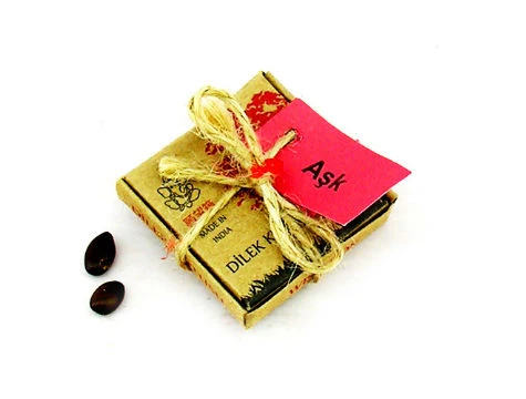 Dilek Tohumları Aşk