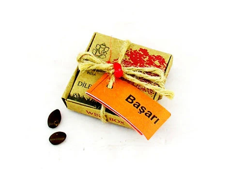 Dilek Tohumları Başarı