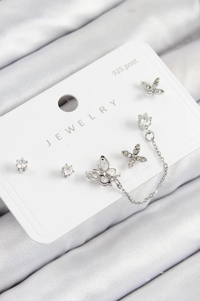 Pirinç Zirkon Taşlı  Model Gümüş Renk 925 Ayar Gümüş Çivi Kadın Küpe Set ürün görseli 1