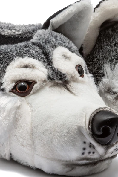 TWIGY TW SIBERIA GRİ ERKEK HAYVANLI PANDUF 41/46 - Resim 2