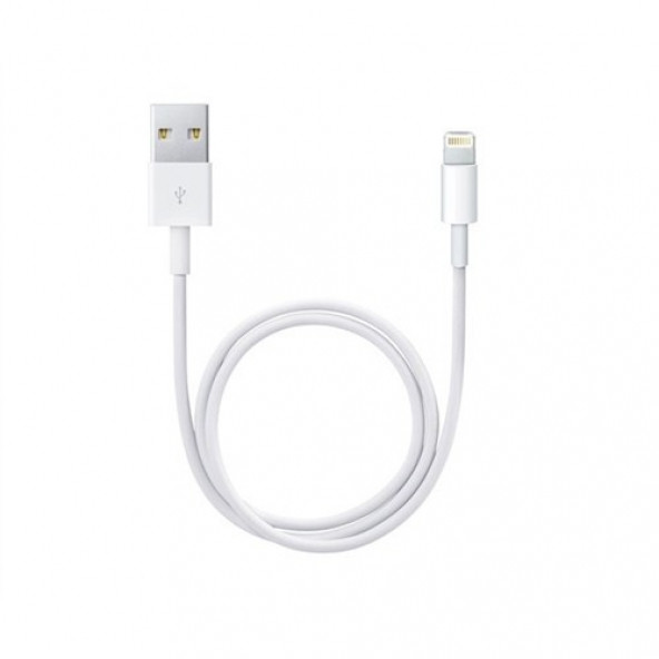 Apple iPhone 6 Plus/6/5S/5C/5 iPad Mini/iPad Air Lightning USB Kablo