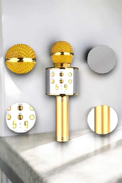 Taşınabilir Bluetooth Karaoke Mikrofon Hafıza Kart Girişli, Etkileyici Performans ürün görseli