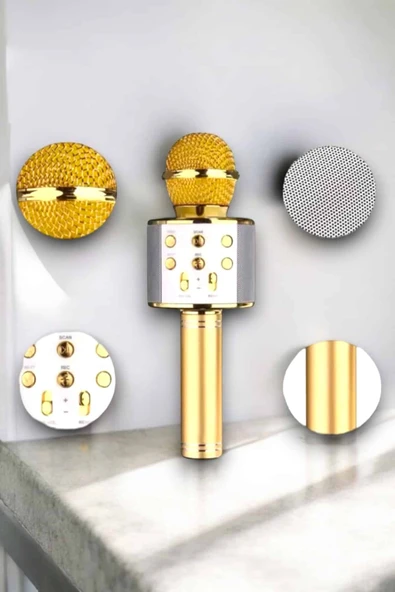 Taşınabilir Bluetooth Karaoke Mikrofon Hafıza Kart Girişli, Etkileyici Performans - 2