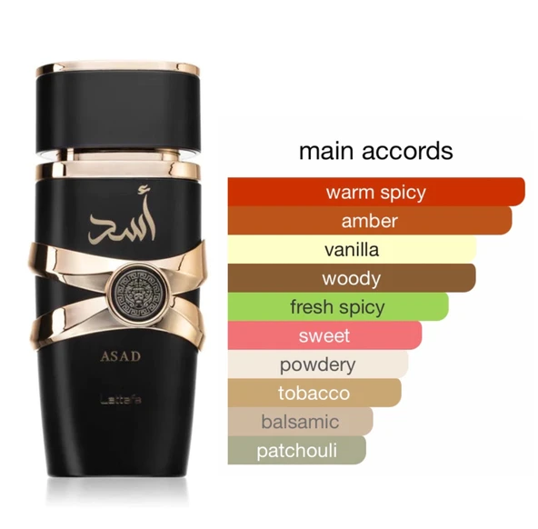 LATTAFA ASAD 100 ML EDP PARFÜM - 5